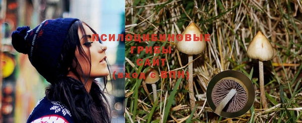 ПСИЛОЦИБИНОВЫЕ ГРИБЫ Бронницы