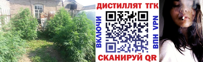 ТГК вейп Ростов